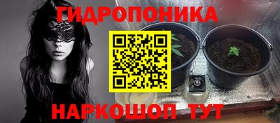 ГАЛЛЮЦИНОГЕННЫЕ ГРИБЫ Гагарин