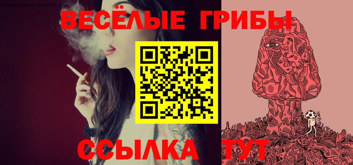 Кувандык  Псилоцибиновые грибы Cubensis  Вход с VPN 