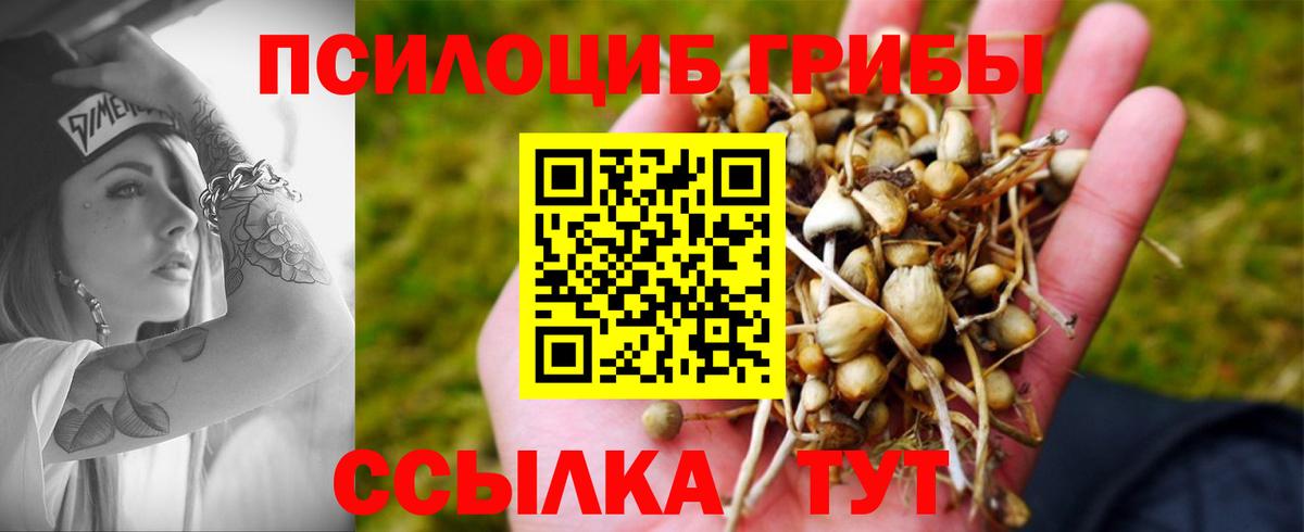 Галлюциногенные грибы Psilocybine cubensis Кувандык